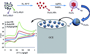 Graphical abstract: Differential pulse stripping voltammetric determination of the antipsychotic medication olanzapine at a magnetic nano-composite with a core/shell structure