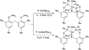 Graphical abstract: Synthesis of [POCOP]-pincer iron and cobalt complexes via Csp3–H activation and catalytic application of iron hydride in hydrosilylation reactions