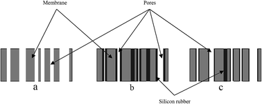 Graphical abstract: Performance of silicon rubber coated polyetherimide hollow fibers for CO2 removal via a membrane contactor