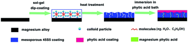 Graphical abstract: Synthesis and characterization of a phytic acid/mesoporous 45S5 bioglass composite coating on a magnesium alloy and degradation behavior