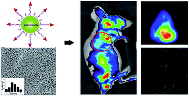 Graphical abstract: Non-invasive imaging of breast cancer using RGDyK functionalized fluorescent carbonaceous nanospheres