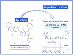 Graphical abstract: A comprehensive study of apixaban's degradation pathways under stress conditions using liquid chromatography coupled to multistage mass spectrometry