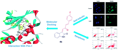 Graphical abstract: Design, synthesis and biological evaluation of novel C3-functionalized oxindoles as potential Pim-1 kinase inhibitors