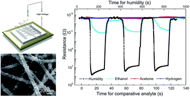 Graphical abstract: Fast and highly sensitive humidity sensors based on NaNbO3 nanofibers