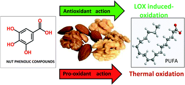 Graphical abstract: Effect of phenolic compounds on the oxidative stability of ground walnuts and almonds