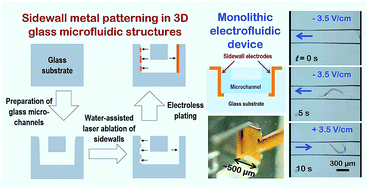 Graphical abstract: Vertical sidewall electrodes monolithically integrated into 3D glass microfluidic chips using water-assisted femtosecond-laser fabrication for in situ control of electrotaxis