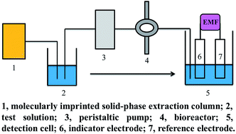 Graphical abstract: A potentiometric biosensing system based on an isolated degrading bacterium Klebsiella sp. MP-6 for the determination of methyl parathion