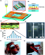Graphical abstract: All-direction energy harvester based on nano/micro fibers as flexible and stretchable sensors for human motion detection
