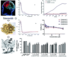 Graphical abstract: Limonoids from the root bark of Dictamnus angustifolius: potent neuroprotective agents with biometal chelation and halting copper redox cycling properties