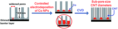 Graphical abstract: Carbon nanotube diameter control via catalytic Co nanoparticles electrodeposited in porous alumina membranes