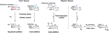 Graphical abstract: “Armed and disarmed” theory in the addition of an azide radical to glucals