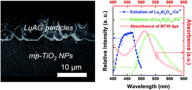 Graphical abstract: Green-emitting Lu3Al5O12:Ce3+ phosphor as a visible light amplifier for dye-sensitized solar cells