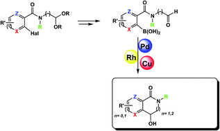 Graphical abstract: Transition-metal-catalyzed intramolecular cyclization of amido(hetero)arylboronic acid aldehydes to isoquinolinones and derivatives