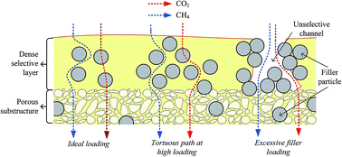 Graphical abstract: Utilizing low ZIF-8 loading for an asymmetric PSf/ZIF-8 mixed matrix membrane for CO2/CH4 separation