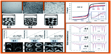 Graphical abstract: Effect of biomimetic templates on the magneto-structural properties of Fe3O4 nanoparticles