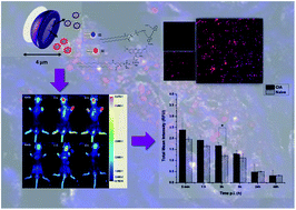 Graphical abstract: Glucan particles loaded with a NIRF agent for imaging monocytes/macrophages recruitment in a mouse model of rheumatoid arthritis