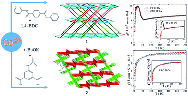 Graphical abstract: Homo- and heterometallic coordination networks based on linear trinuclear Co(ii) units: syntheses, structures and magnetic properties