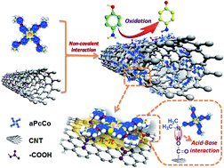 Graphical abstract: p-Aminophenol sensor based on tetra-β-[3-(dimethylamine)phenoxy] phthalocyanine cobalt(ii)/multiwalled carbon nanotube hybrid