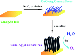 Graphical abstract: Copper–silver oxide nanowires grown on an alloy electrode as an efficient electrocatalyst for water oxidation