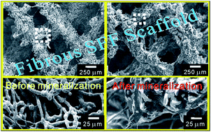 Graphical abstract: Physical and biological activities of newly designed, macro-pore-structure-controlled 3D fibrous poly(ε-caprolactone)/hydroxyapatite composite scaffolds