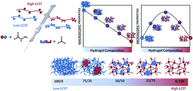 Graphical abstract: “Off-the-shelf” thermoresponsive hydrogel design: tuning hydrogel properties by mixing precursor polymers with different lower-critical solution temperatures