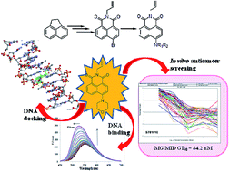 Graphical abstract: Synthesis, in vitro evaluation and DNA interaction studies of N-allyl naphthalimide analogues as anticancer agents