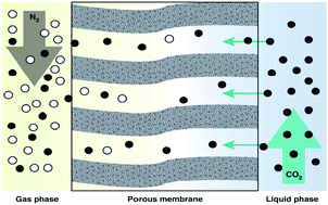 Graphical abstract: Carbon dioxide stripping through water by porous PVDF/montmorillonite hollow fiber mixed matrix membranes in a membrane contactor