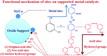 Graphical abstract: Role of acid sites and surface hydroxyl groups in isophthalonitrile hydrogenation catalyzed by supported Ni–Co catalysts