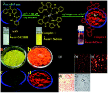 Graphical abstract: Zn2+ mediated solvent free solid state red emitting fluorescent complex formation in a mortar–pestle along with living cell imaging studies