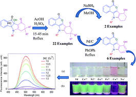 Graphical abstract: Synthesis of 4-hydroxyindole fused isocoumarin derivatives and their fluorescence “Turn-off” sensing of Cu(ii) and Fe(iii) ions