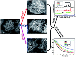 Graphical abstract: Selective synthesis of different ZnO/Ag nanocomposites as surface enhanced Raman scattering substrates and highly efficient photocatalytic catalysts