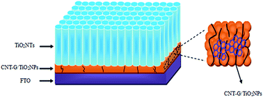 Graphical abstract: CNT–G–TiO2 layer as a bridge linking TiO2 nanotube arrays and substrates for efficient dye-sensitized solar cells