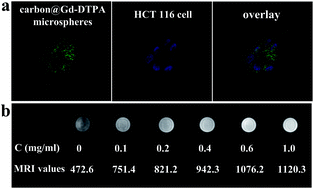 Graphical abstract: One-step synthesis of surface passivated carbon microspheres for enhanced photoluminescence and their application in multifunctional magnetic-fluorescent imaging