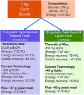 Graphical abstract: Microbial lipid production from AFEX™ pretreated corn stover