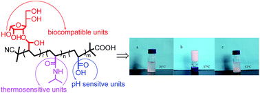 Graphical abstract: A glucosyl triblock copolymer: synthesis and its injectable thermo- and pH-responsive behaviours