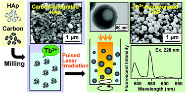 Graphical abstract: A physicochemical process for fabricating submicrometer hollow fluorescent spheres of Tb3+-incorporated calcium phosphate