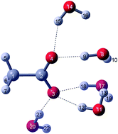 Graphical abstract: Raman spectroscopic studies and DFT calculations on NaCH3CO2 and NaCD3CO2 solutions in water and heavy water