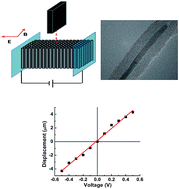 Graphical abstract: Giant actuation in bulk carbon nanotubes under coupled electric and magnetic fields