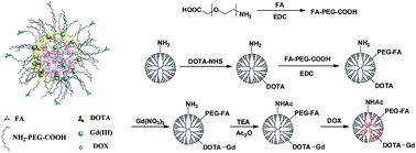 Graphical abstract: Encapsulation of doxorubicin within multifunctional gadolinium-loaded dendrimer nanocomplexes for targeted theranostics of cancer cells