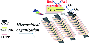 Graphical abstract: Monolithic organic/inorganic ternary nanohybrids toward electron transfer cascade for enhanced visible-light photocatalysis