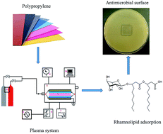 Graphical abstract: Rhamnolipid biosurfactant adsorption on a plasma-treated polypropylene surface to induce antimicrobial and antiadhesive properties