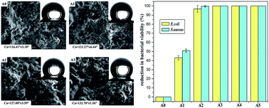 Graphical abstract: Plasma sprayed alumina–nanosilver antibacterial coatings