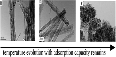 Graphical abstract: Adsorption and photocatalytic behavior of titanate nanotubes sensitized with zinc tetra(4-carboxyphenyl) porphyrin