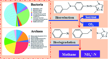 Graphical abstract: Biotransformative removal of cationic Red X-GRL by anaerobic activated sludge