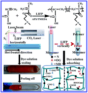 Graphical abstract: Facile access to poly(DMAEMA-co-AA) hydrogels via infrared laser-ignited frontal polymerization and their polymerization in the horizontal direction