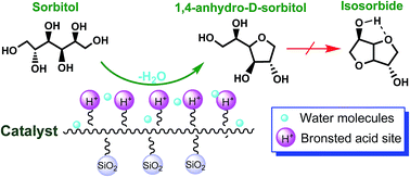 Graphical abstract: Selective dehydration of sorbitol to 1,4-anhydro-d-sorbitol catalyzed by a polymer-supported acid catalyst