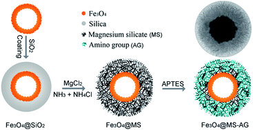 Graphical abstract: Amino-functionalized magnetic magnesium silicate double-shelled hollow microspheres for enhanced removal of lead ions