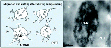 Graphical abstract: Effect of migration of layered nanoparticles during melt blending on the phase morphology of poly (ethylene terephthalate)/polyamide 6/montmorillonite ternary nanocomposites