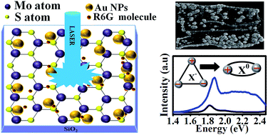 Graphical abstract: Tuning the photoluminescence and ultrasensitive trace detection properties of few-layer MoS2 by decoration with gold nanoparticles