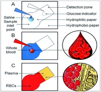Graphical abstract: Low-cost blood plasma separation method using salt functionalized paper